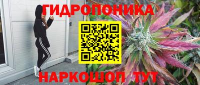 бошки Славгород