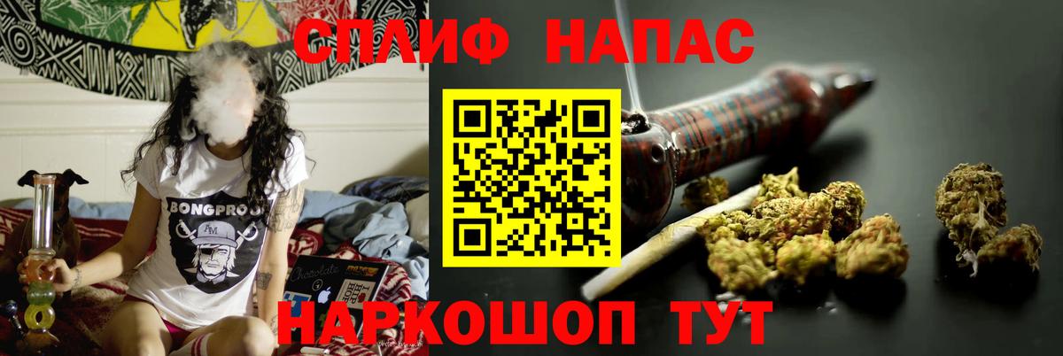 Конопля план Орехово-Зуево